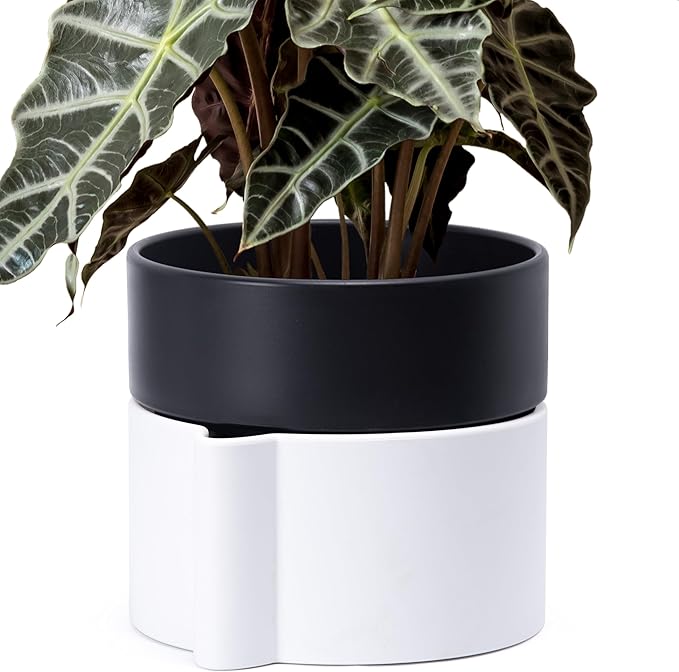 8 Inch Self-Watering Planter Pot with Terracotta Insert, Deep Water Reservoir, and Ceramic-Alike BPA-Free Plastic Planter Pot for Plant, Modern Planter for Houseplants, White/Black, 53-B-T-4-CasaMuseHome
