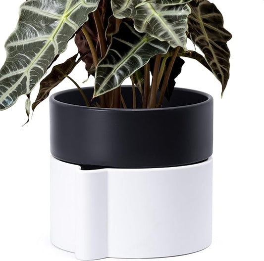 8 Inch Self-Watering Planter Pot with Terracotta Insert, Deep Water Reservoir, and Ceramic-Alike BPA-Free Plastic Planter Pot for Plant, Modern Planter for Houseplants, White/Black, 53-B-T-4-CasaMuseHome