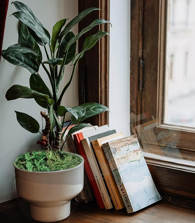 35 OZ Artificial Moss for Fake Plants and Planters - Decorative Faux Moss for Craft and Home Decor-CasaMuseHome