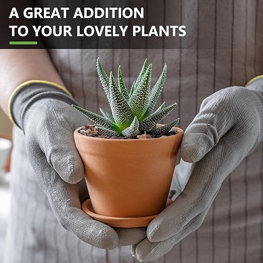 2.5lbs Small Rocks for Terrarium, Planters Drainage, 1/5 Inch Lava Rock for Bonsai Tree, Decorative Gravel for Succulents, Bamboo, Cactus, Mixed Color-CasaMuseHome