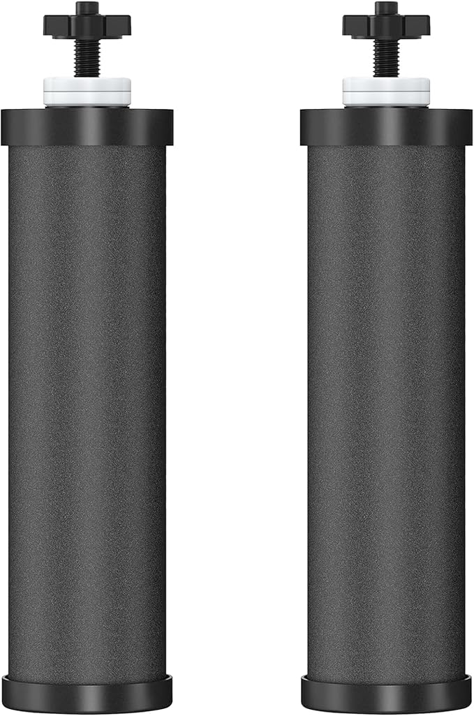 2 Pack Black Filters, Water Filter Replacement for Berkey BB9-2, Compatible with Berkey Gravity Water Filter Systems-CasaMuseHome