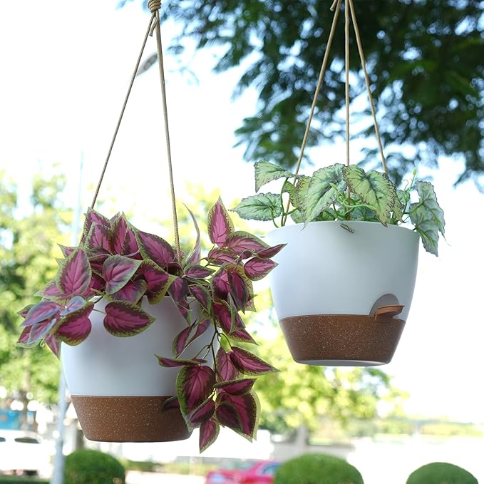 8 inch Hanging Planters, 2 Pack Self Watering Hanging Pots with 20oZ Deep Reservoir for Indoor Outdoor Plants Flowers, White with Brown-CasaMuseHome