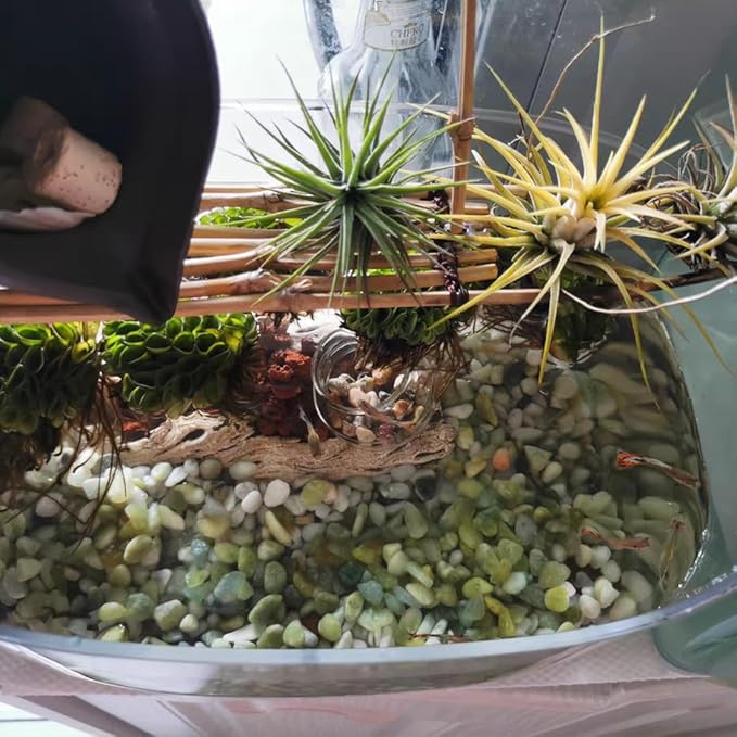 10LB Succulent and Cactus Pebbles, 1/5 Inch Jade Natural Decorative Polished Stones, River Rocks for Plants, Vases and Outdoor Gardening,Green-CasaMuseHome