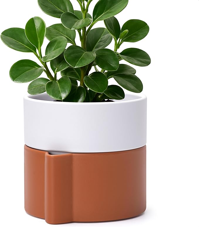 6.5 Inch Self-Watering Planter Pot with Terracotta Insert, Deep Water Reservoir, and Ceramic-Alike BPA-Free Plastic Pot for Plant, Modern Planter for Houseplants, Terracotta/White, 53-B-S-6-CasaMuseHome