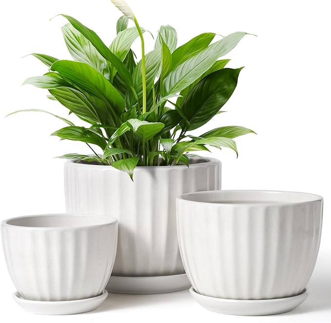 4/5/6 Inches Ceramic Plant Pots with Drainage Holes and Saucers, Round Flower Pots for Indoor Plant, Modern Flower Planters Set of 3 (White-Big Size)-CasaMuseHome