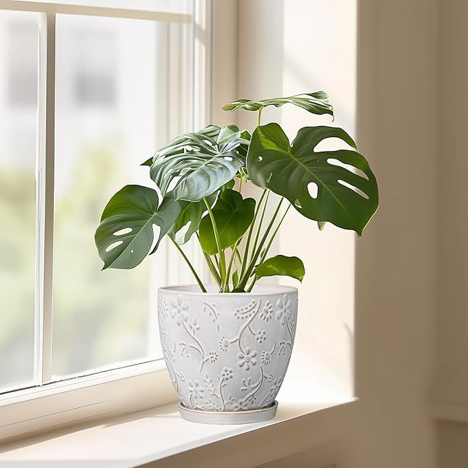 8 Inch Ceramic Pots for Plants Large Planter Pot with Drainage Hole and Saucer Round Flower Pot for Indoor Outdoor Decor, White-CasaMuseHome