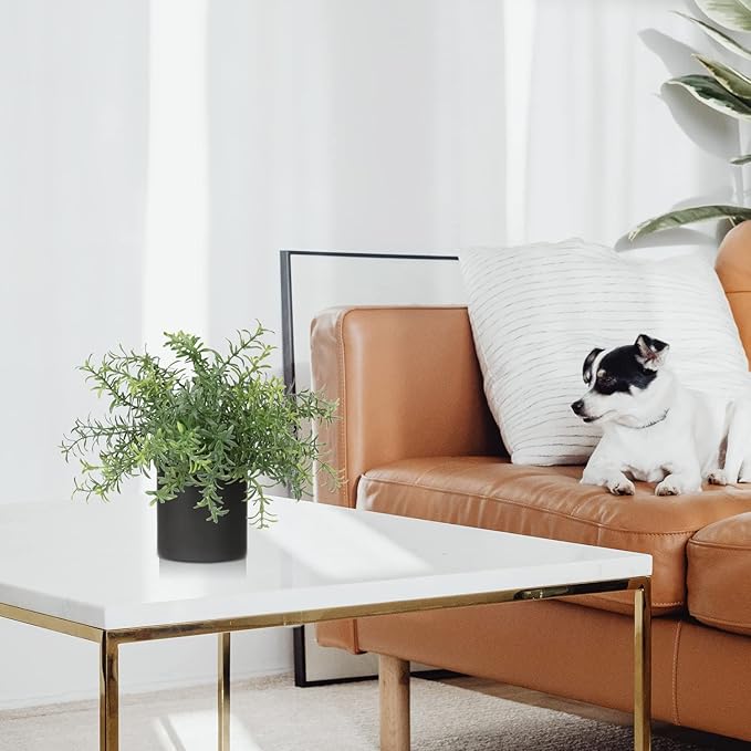 3 Pack Small Fake Plants for Shelf Decor Accents with Ceramic Pot Artificial Potted Plants for Rustic Farmhouse Decor Faux Plants Indoor Fake Potted Plants Artificial for Home Office Bookshelf Decor-CasaMuseHome