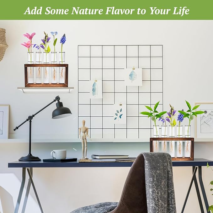 2pcs Desktop Glass Plant Propagation Station with 10 Test Tubes in Wooden Stand - Hydroponic Plants Cutting Office Home Decoration and Garden Decor Terrarium (10 Tubes)-CasaMuseHome