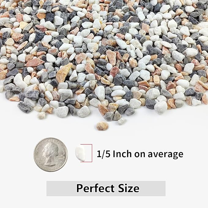 5LBS Succulent and Cactus Gravel Pebbles, 1/5 Inch Natural Decorative Polished Stones, River Rocks for Vases, Aquariums, Terrarium and Outdoor Gardening, Mixed Color-CasaMuseHome