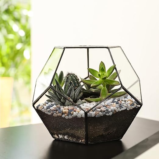 5 lbs Small Rocks for Plants, 1/5 Inch Pebbles for Indoor Plants, Natural Decorative Pea Gravel for Aquarium, Fish Tank, Terrarium, Succulents, Bamboo Plants, Vases, Cactus, Crafts-CasaMuseHome