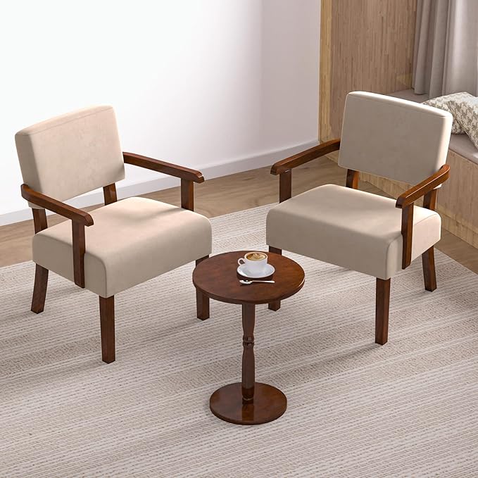 Accent Chair, Cat-Scratch Velvet Living Room Chairs Oversize with Soft Seat and Armrests for Dinning Room Bedroom Reading Room Waiting Room-CasaMuseHome
