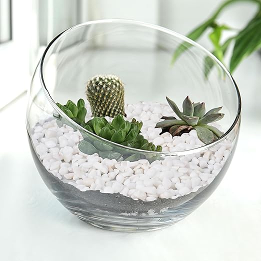 5 lbs White Aquarium Gravel, 1/5 Inch White Rocks for Plants, Small Pebbles for Vases, Succulents, Bamboo, Natural Decorative Pebbles for Plants Drainage, Cactus, Crafts-CasaMuseHome