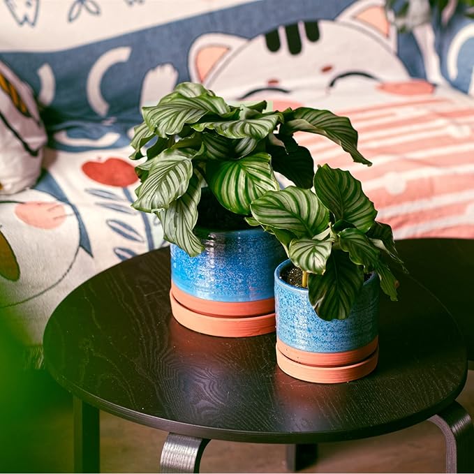 6 + 8 Inch Plant Pots, Ceramic Planter Pot with Drainage Hole & Saucer, Indoor/Outdoor Cylinder Round Planter Pot, Aqua Blue & Terracotta-CasaMuseHome
