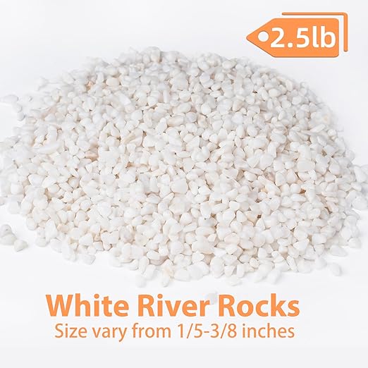 2.5 lbs White Aquarium Gravel, 1/5 Inch White Rocks for Plants, Small Pebbles for Vases, Succulents, Bamboo, Natural Decorative Pebbles for Plants Drainage, Cactus, Crafts-CasaMuseHome