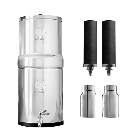 3.25 Gallons NSF Certified AISI 304 Stainless Steel Water Filter with 2 Smart Carbon (Black) Filters, 2 POSTreat Steel Fluoride Removal Elements & Free Stainless Steel Spigot-CasaMuseHome