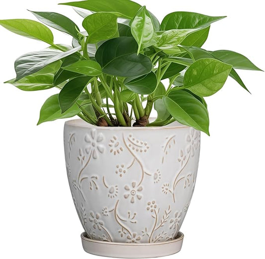 6 Inch Ceramic Plant Pot for Indoor Plants Outdoor Round Planter Flower Pot with Drainage Hole and Saucer for Home Garden Office Decor White-CasaMuseHome