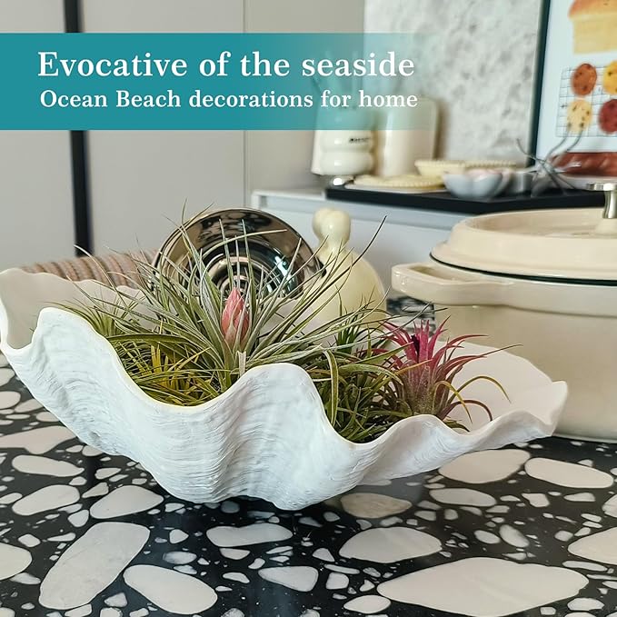 Accessoryway Extra Large Clam Shells Decorative Bowl-White Sea Shells Decorative Storage Bowls for Coastal Beach theme house table centerpiece decorations & Nautical decor for coffee table-12.4"-1PC-CasaMuseHome