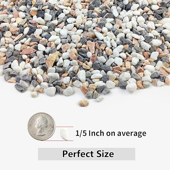 10LB Succulent and Cactus Gravel Pebbles, 1/5 Inch Natural Decorative Polished Stones, River Rocks for Plants, Vases, Aquariums, Terrarium and Outdoor Gardening,Mixed Color-CasaMuseHome