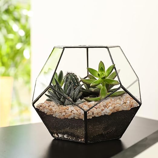 2.5 lbs Coarse Silica Sand for Indoor Plants, 1/5 Inch Natural Decorative Gravel for Vases, Aquariums, Terrarium, Fish Tank, Drainage Rocks for Potted Plants, Bamboo, Succulent, Crafts, Cactus-CasaMuseHome