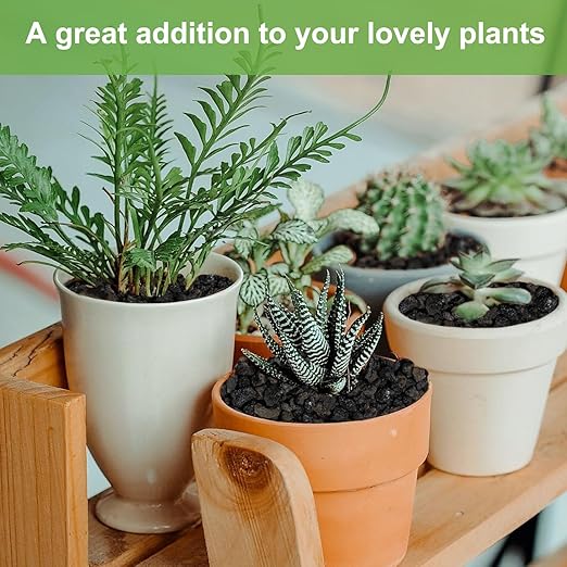 2.5lbs Lava Rocks for Plants, 1/5 Inch Black Gravel for Succulent, Cactus, Bonsai Tree, Pure Volcanic Rocks, Top-Dressing, Good Drainage-CasaMuseHome