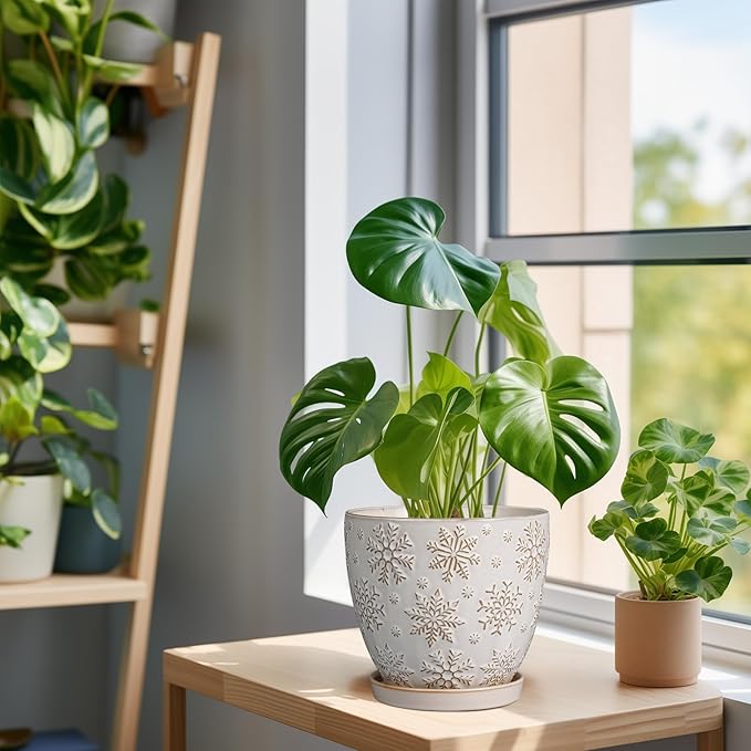 6.9 Inch Plant Pot with Drainage Hole and Saucer Ceramic Planter for Indoor Plant Flower Pot for Orchid Succulents Plants White-CasaMuseHome