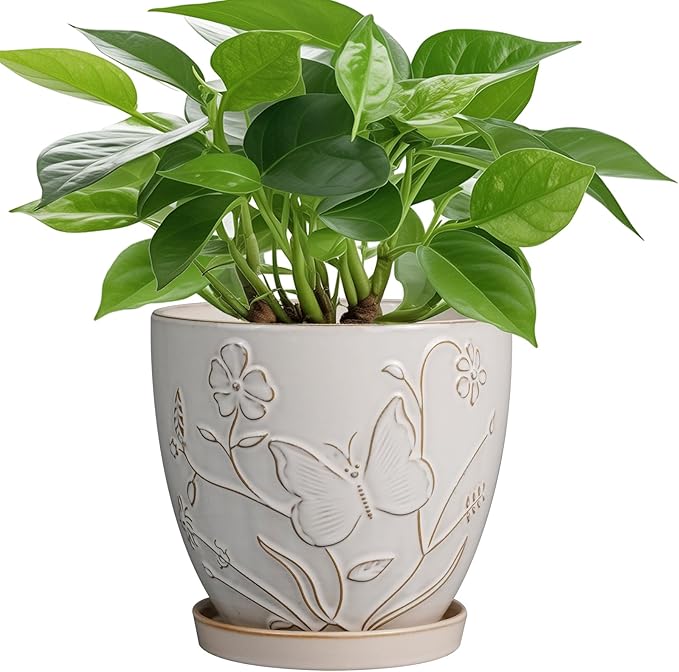 6 Inch Ceramic Plant Pot for Indoor Plants Outdoor Round Planter Flower Pot with Drainage Hole and Saucer for Home Garden Office Decor White-CasaMuseHome