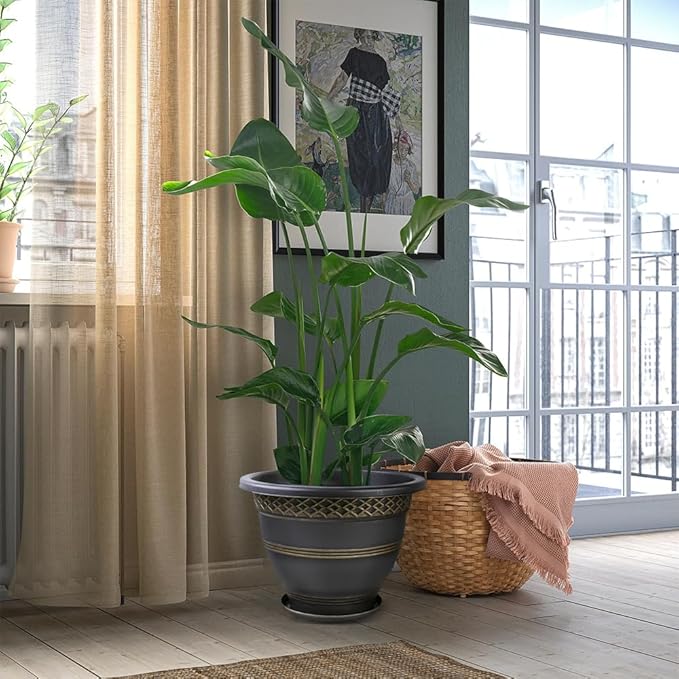 6 Pack 8 Inch Plant Pots, Plastic Flower Pot for Indoor & Outdoor with Drainage Holes & Saucer, Plaid Pattern Planters Garden Pots for Herbs-CasaMuseHome