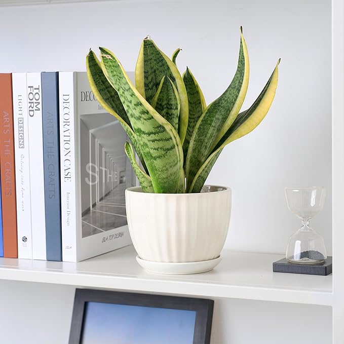 4/5/6 Inches Ceramic Plant Pots with Drainage Holes and Saucers, Round Flower Pots for Indoor Plant, Modern Flower Planters Set of 3 (White-Big Size)-CasaMuseHome