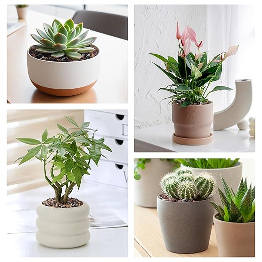 2.5lbs Small Rocks for Terrarium, Planters Drainage, 1/5 Inch Lava Rock for Bonsai Tree, Decorative Gravel for Succulents, Bamboo, Cactus, Mixed Color-CasaMuseHome