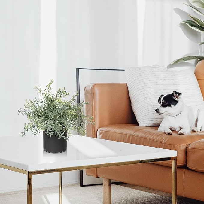 3 Pack Small Fake Plants for Shelf Decor Accents with Ceramic Pot Artificial Potted Plants for Rustic Farmhouse Decor Faux Plants Indoor Fake Potted Plants Artificial for Home Office Bookshelf Decor-CasaMuseHome