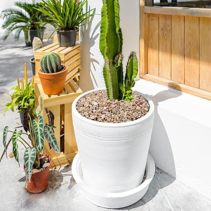 10LB Succulent and Cactus Gravel Pebbles, 1/5 Inch Natural Decorative Polished Stones, River Rocks for Plants, Vases, Aquariums, Terrarium and Outdoor Gardening,Peach-CasaMuseHome