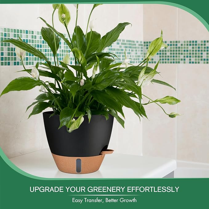 2 Pack 10 inch Plant Pots, PP Plastic Self Watering Plant Pot with Drainage and Tray for Indoor Outdoor Plants , Water Level Window & Reservoir Flower Pots Decorative Planter (Black, 10 Inch)-CasaMuseHome