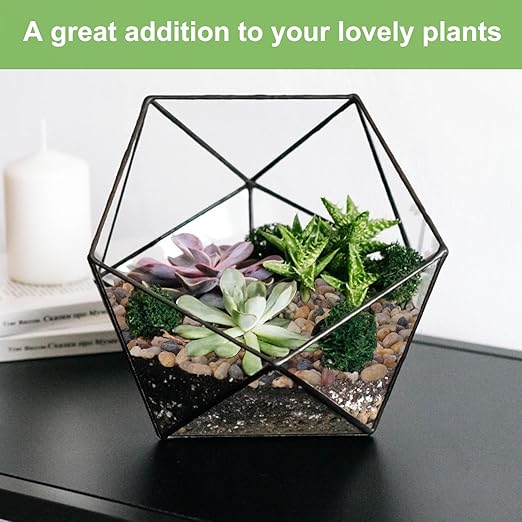 2.5 lbs Drainage Rocks for Potted Plants, 1/5 Inch Small Pebbles for Indoor Plants, Decorative Gravel for Vases, Bamboo, Succulent, Terrarium, Crafts, Cactus-CasaMuseHome