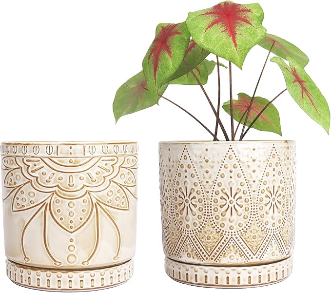 6 Inch Indoor Plant Pots with Drainage Holes and Saucers, Ceramic Planter for Plants, Flower Pot - Set of 2-CasaMuseHome