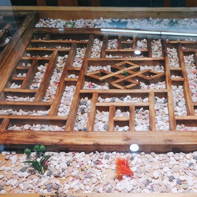 10LB Succulent and Cactus Gravel Pebbles, 1/5 Inch Natural Decorative Polished Stones, River Rocks for Plants, Vases, Aquariums, Terrarium and Outdoor Gardening,Mixed Color-CasaMuseHome