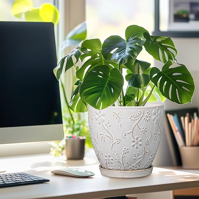 8 Inch Ceramic Pots for Plants Large Planter Pot with Drainage Hole and Saucer Round Flower Pot for Indoor Outdoor Decor, White-CasaMuseHome