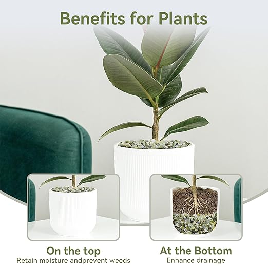 5LB Succulent and Cactus Pebbles, 1/5 Inch Jade Pebbles for Indoor Plants, Decorative Gravel for Vases, Bamboo, Succulent, Terrarium, Crafts, Cactus-CasaMuseHome