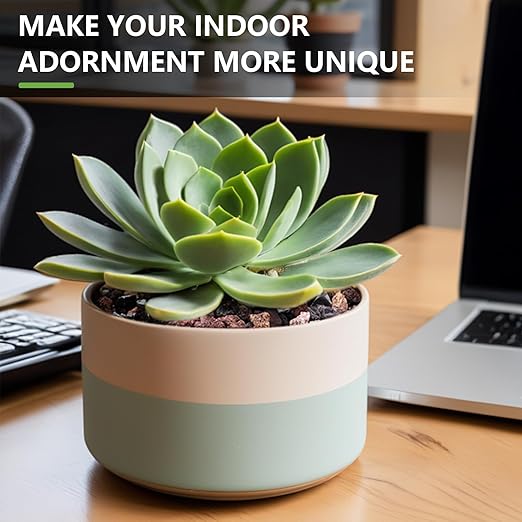 5lbs Small Rocks for Terrarium, Planters Drainage, 1/5 Inch Lava Rock for Bonsai Tree, Decorative Gravel for Succulents, Bamboo, Cactus, Mixed Color-CasaMuseHome