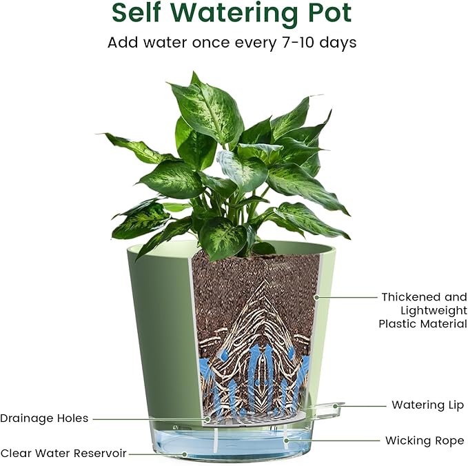 6 inch Self Watering Pots for Indoor Outdoor Plants, 6 Pack Flower Plant Pots with Drainage Holes and Clear Reservoirs, Visible Water Level, Plastic Planters with Wicking Rope, Green-CasaMuseHome