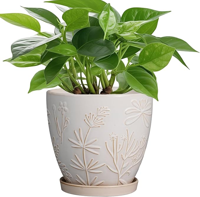 6.9 Inch Ceramic Plant Pot for Indoor Plants Outdoor Round Planter Flower Pot with Drainage Hole and Saucer for Home Garden Office Decor White-CasaMuseHome