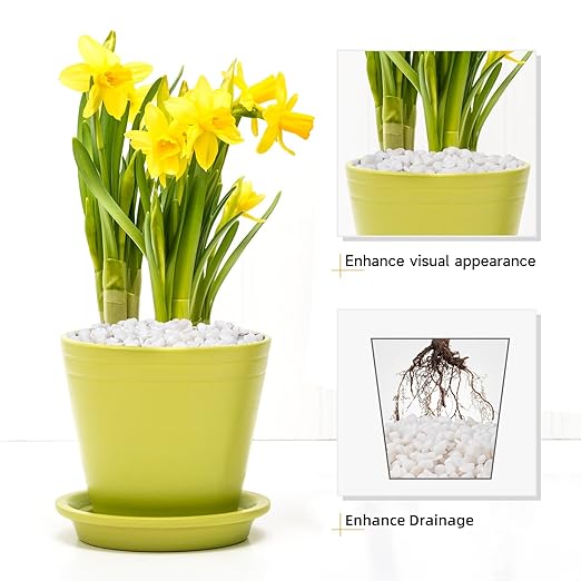 2.5 lbs White Aquarium Gravel, 1/5 Inch White Rocks for Plants, Small Pebbles for Vases, Succulents, Bamboo, Natural Decorative Pebbles for Plants Drainage, Cactus, Crafts-CasaMuseHome