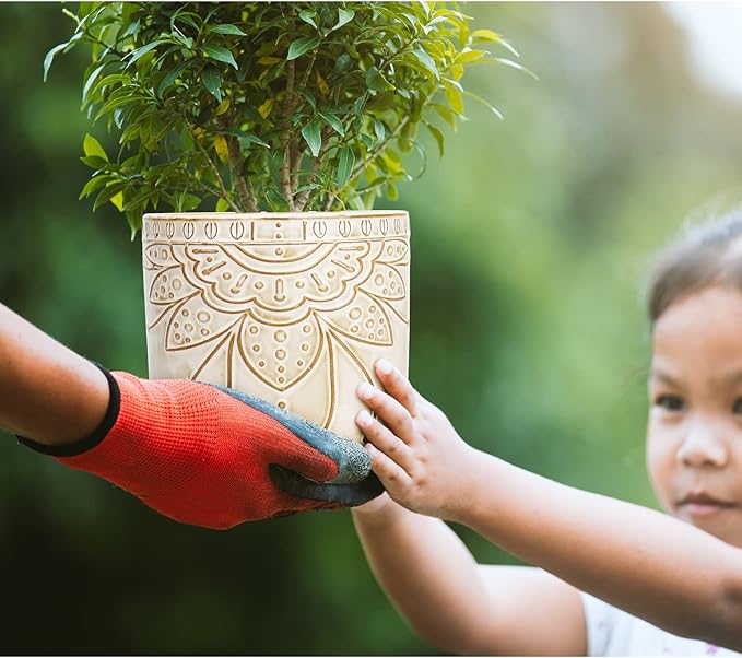 6 Inch Indoor Plant Pots with Drainage Holes and Saucers, Ceramic Planter for Plants, Flower Pot - Set of 2-CasaMuseHome