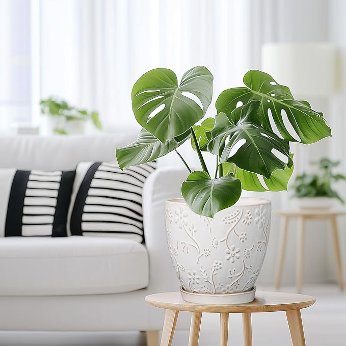 8 Inch Ceramic Pots for Plants Large Planter Pot with Drainage Hole and Saucer Round Flower Pot for Indoor Outdoor Decor, White-CasaMuseHome