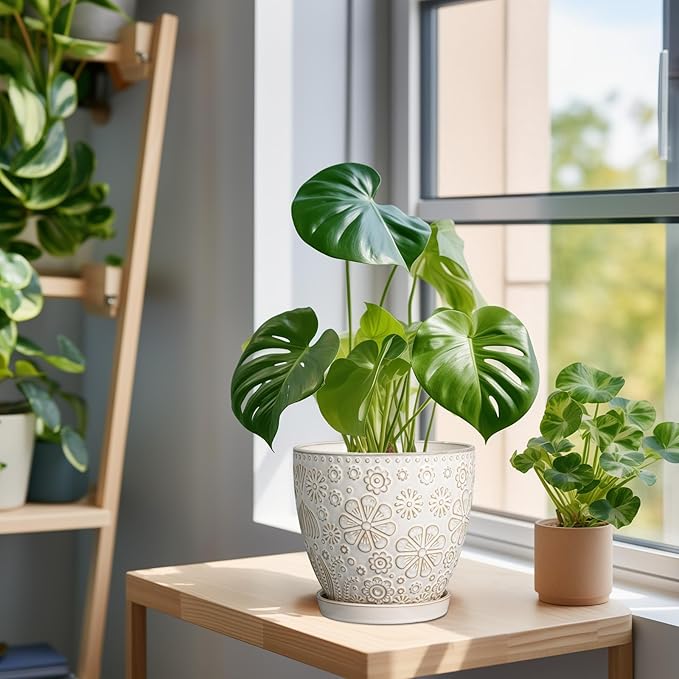 6.9 Inch Plant Pot with Drainage Hole and Saucer Ceramic Planter for Indoor Plant Flower Pot for Orchid Succulents Plants White-CasaMuseHome