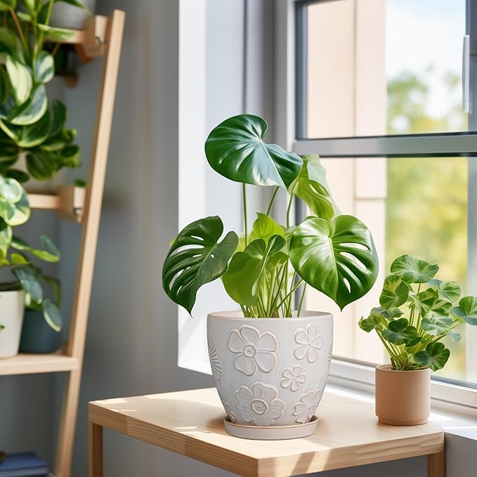 6.9 Inch Plant Pot with Drainage Hole and Saucer Ceramic Planter for Indoor Plant Flower Pot for Orchid Succulents Plants White-CasaMuseHome