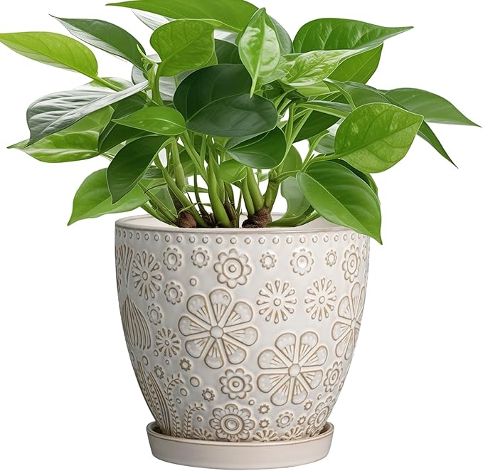 6.9 Inch Plant Pot with Drainage Hole and Saucer Ceramic Planter for Indoor Plant Flower Pot for Orchid Succulents Plants White-CasaMuseHome