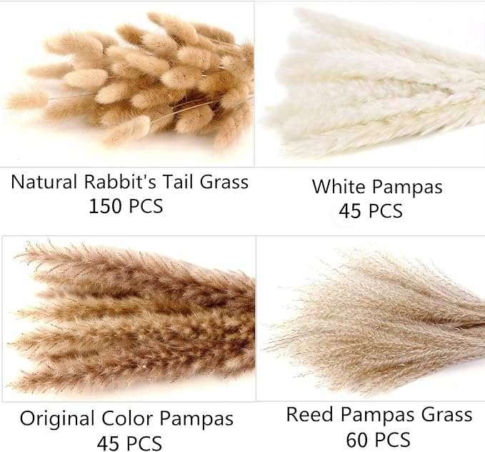 300 PCS Dried Flower Bouquet – Pampas Grass, Floral Decor for Home, Wedding, and Boho Style | Perfect for Vases, Fall, Spring, Summer, and Winter Arrangements-CasaMuseHome