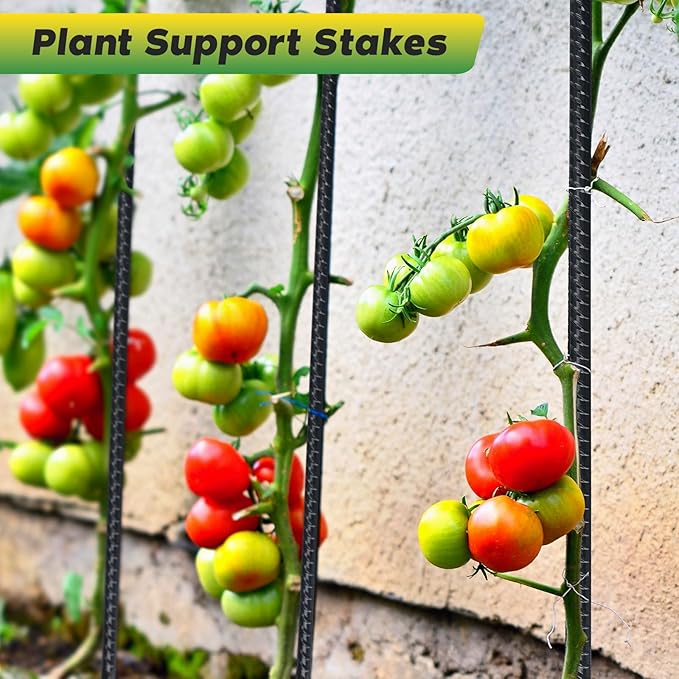 24 inches Straight Rebar Stakes 18-Pack Ground Stake Heavy Duty Metal Steel Spikes for Gardening, Concrete Forming and Camping Tent-CasaMuseHome