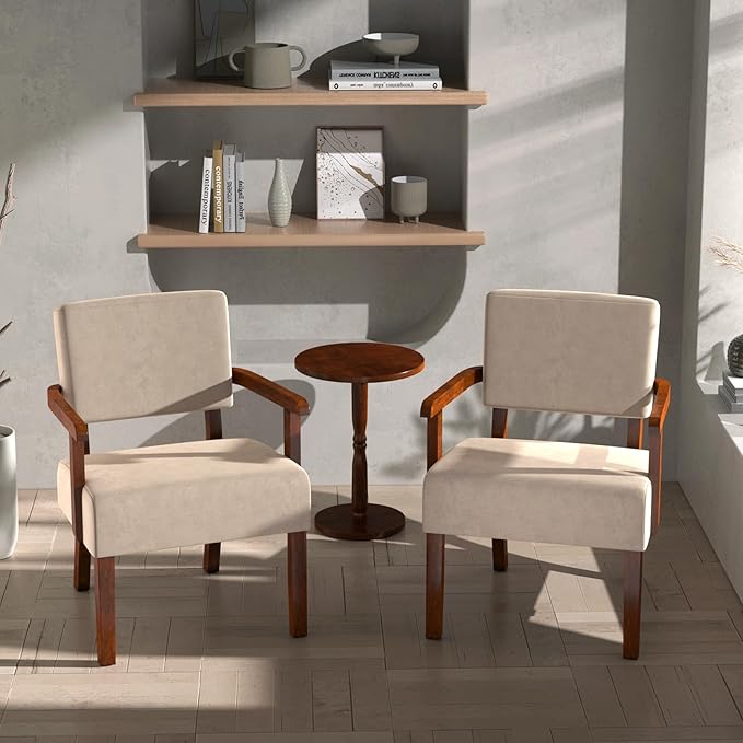 Accent Chair, Cat-Scratch Velvet Living Room Chairs Oversize with Soft Seat and Armrests for Dinning Room Bedroom Reading Room Waiting Room-CasaMuseHome