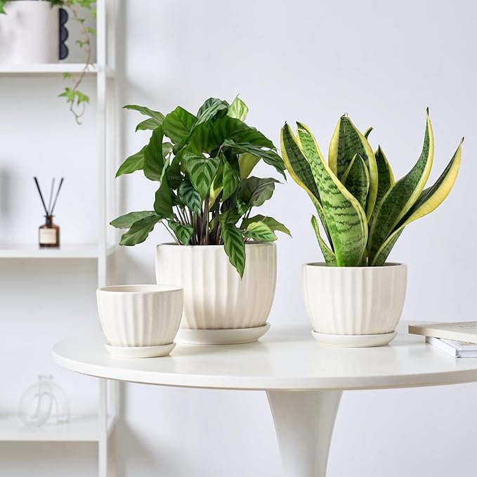 4/5/6 Inches Ceramic Plant Pots with Drainage Holes and Saucers, Round Flower Pots for Indoor Plant, Modern Flower Planters Set of 3 (White-Big Size)-CasaMuseHome